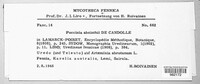 Puccinia absinthii image